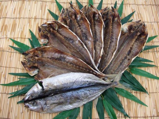 Makanan Dari Negeri Sakura